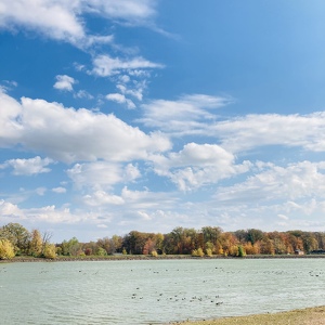 Fundraising Page: Luzy Hayden